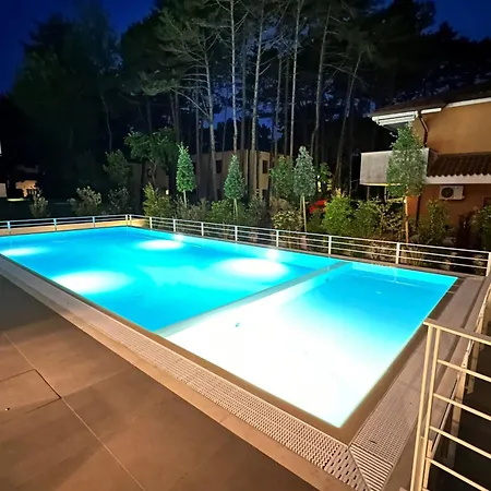 Apartament Near